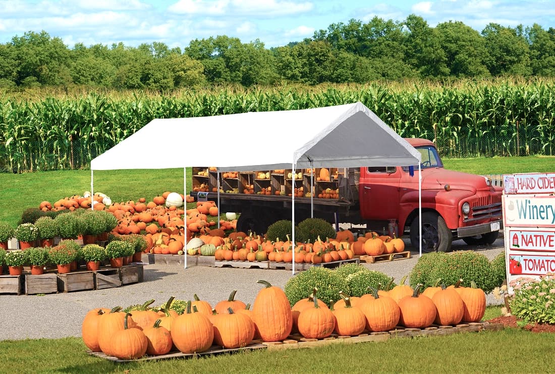 Angled exterior view of the 10x20 event tent showing pitched roof, eight-leg frame, and open sides.